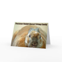 Passover Rabbit doesn't Pass Over cards