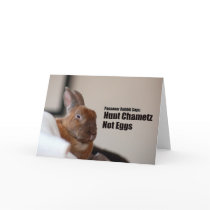 Passover Rabbit Says: cards