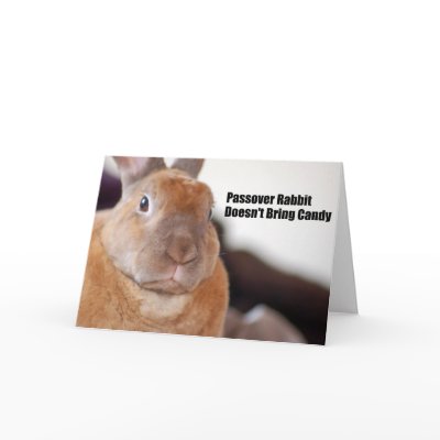 Passover Rabbit Says Greeting Card by peelapom