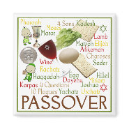 Passover Symbols magnet