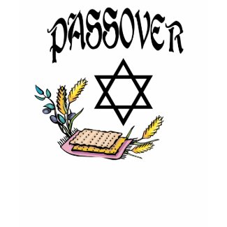Passover shirt