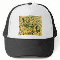 PAST DUE BILLS hat