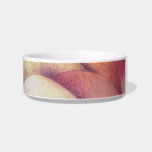 Pastel Abstract pet bowls