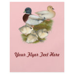 Pastel Call Duck Family flyers