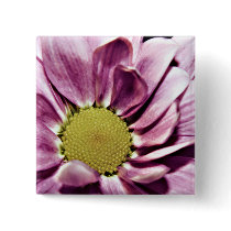 Pastel Chrysanthemum button buttons