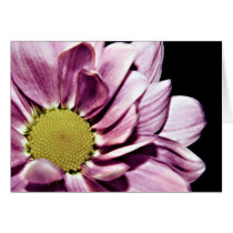 Pastel Chrysanthemum Card cards