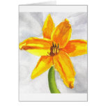 Pastel Day Lily