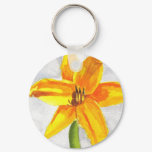 Pastel Day Lily