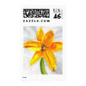 Pastel Day Lily postage