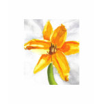 Pastel Day Lily t-shirts