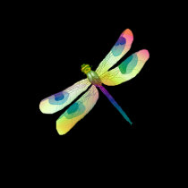 Pastel Dragonfly Shirt