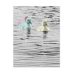 Pastel Ducklings Postcard
