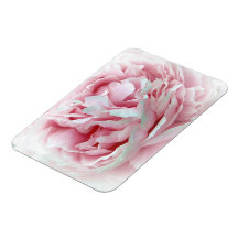 Pastel Flower Flexible Magnets