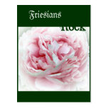 Pastel Flower Post Card