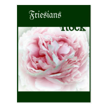 Pastel Flower Post Card