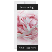Pastel Flower Rack Cards