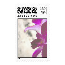 Pastel Flower Stamp