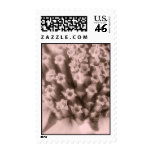 Pastel Flowers Stamp stamps