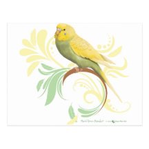 Pastel Green Parakeet Postcards
