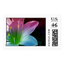 Pastel Lilly postage by scgirl2000 Pastel Lilly postage