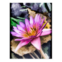 Pastel Lily postcards