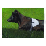 Pastel Painting of Holstein Cow in Sunshine cards