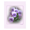 Pastel Pansies posters by StarLily Pastel Pansies posters