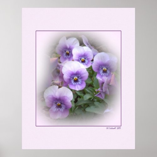 Pastel Pansies print