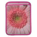Pastel Pink Gerbera Daisy iPad Sleeve