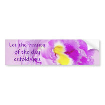 Pastel Pink Orchid Bumper Stickers