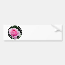 Pastel Pink Rose Bumper Stickers