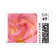 Pastel Pink Rose Flower Spiral postage stamps