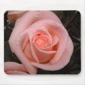 Pastel Pink Rose Mousepad by bkang22 Pastel Pink Rose Mousepad