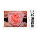 Pastel Pink Rose Stamp by bkang22 Pastel Pink Rose Stamp