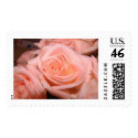 Pastel Pink roses postage by bkang22 Pastel Pink roses postage
