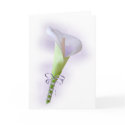 Pastel Purple Calla Lily Card
