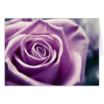 Pastel Rose card (muted lilac) cards