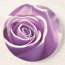 Pastel Rose coasters (muted lilac) coasters