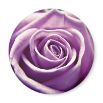 Pastel Rose fridge magnet (muted lilac) magnets