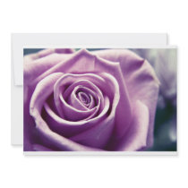 Pastel Rose Invitation (muted lilac) invitations