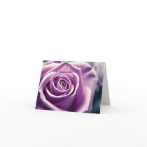Pastel Rose note cards (muted lilac) cards