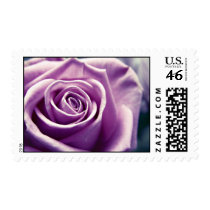 Pastel Rose postage stamps (muted lilac) stamps