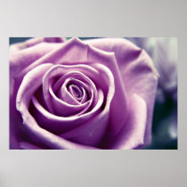 Pastel Rose print (muted lilac)