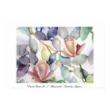 Pastel Roses No. 1 - Caroline Tigeress posters