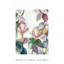 Pastel Roses No. 2 Caroline Tigeress posters