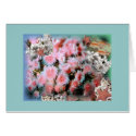 Pastel Sea cards