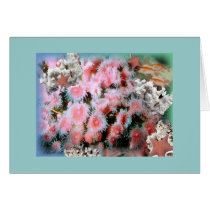 Pastel Sea cards