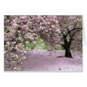 Pastel Serenity cards by creativeoptionsco Pastel Serenity cards