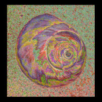 Pastel Shell posters