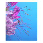 Pastel Simplicity posters